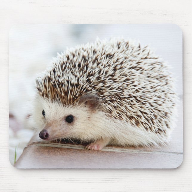 Niedlicher Baby-Igel Mousepad (Vorne)