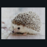 Niedlicher Baby-Igel Schneidebrett<br><div class="desc">Niedliche Baby-Igels-Porträtphotographie auf blassem Hintergrund.</div>