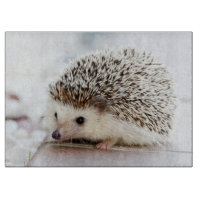Niedlicher Baby-Igel