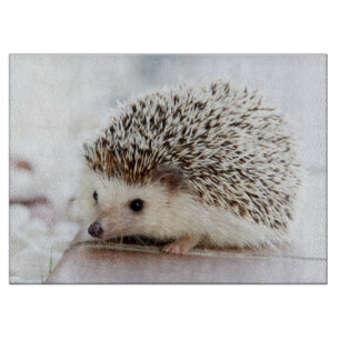 Niedlicher Baby-Igel Schneidebrett