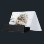 Niedlicher Baby-Igel Schreibtisch-Visitenkartenhalter<br><div class="desc">Niedliche Baby-Igels-Porträtphotographie auf blassem Hintergrund.</div>