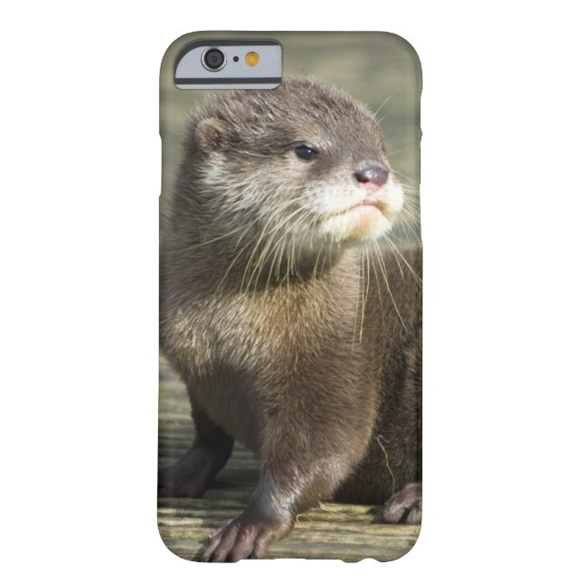 Niedlicher Baby-Otter Case-Mate iPhone Hülle (Rückseite)
