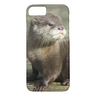 Niedlicher Baby-Otter Case-Mate iPhone Hülle