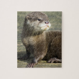Niedlicher Baby-Otter Puzzle