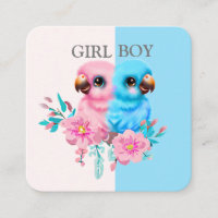 Niedlicher Baby Parrot Gender-Bericht