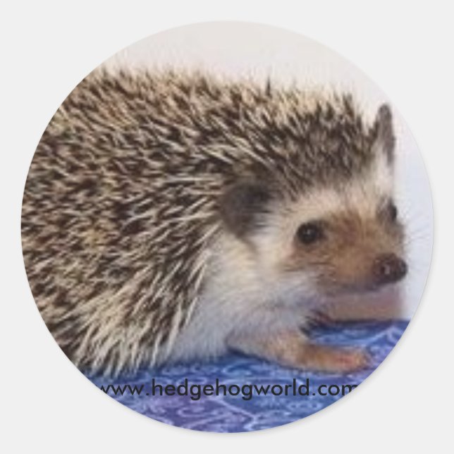 Niedlicher Babyaufkleber Runder Aufkleber (Vorderseite)