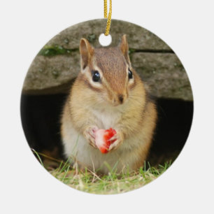 Niedlicher BabyChipmunk mit Erdbeere Keramikornament