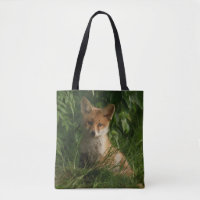 Niedlicher Babyfuchs in einem grünen Wald