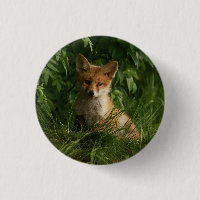 Niedlicher Babyfuchs in einem grünen Wald