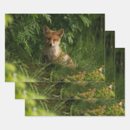 Niedlicher Babyfuchs in einem grünen Wald Geschenkpapier Set