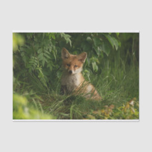 Niedlicher Babyfuchs in einem grünen Wald Seidenpapier