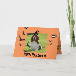 Niedlicher Basset-Hund auf sonniger Halloween-Kart Karte