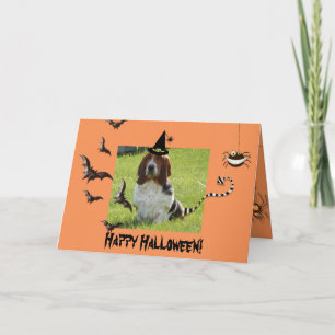 Niedlicher Basset-Hund auf sonniger Halloween-Kart Karte
