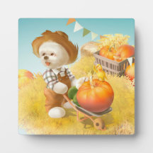 Niedlicher Bauer Hund mit Pumpkin