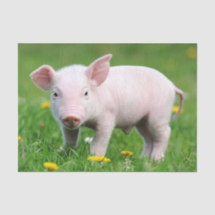 Niedlicher Bauernhof Wohnschein Stall Rosa Ferkel Seidenpapier