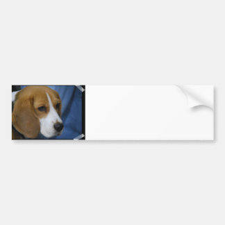 Niedlicher Beagle-Autoaufkleber Autoaufkleber
