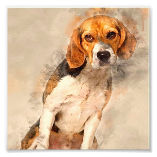 Niedlicher Beagle | Beste Tierdekoration Fotodruck