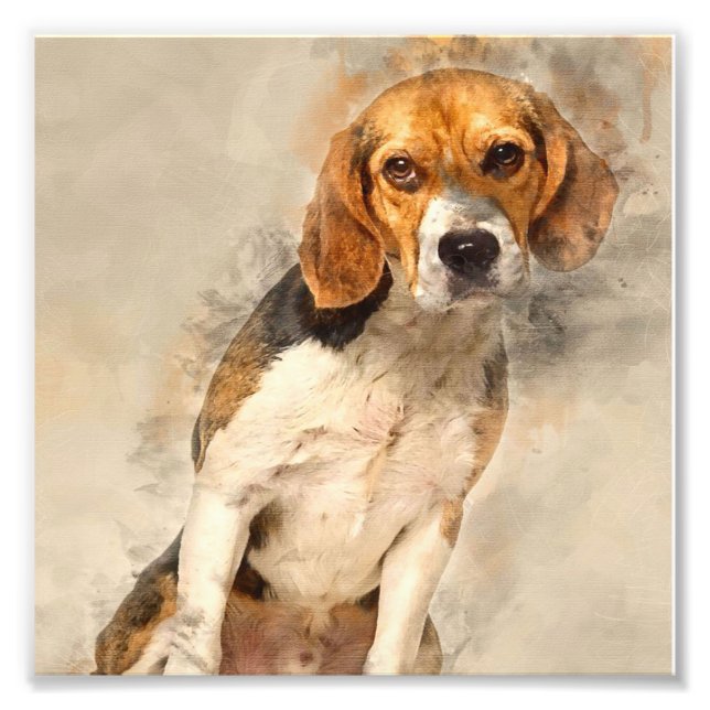 Niedlicher Beagle | Beste Tierdekoration Fotodruck (Vorne)