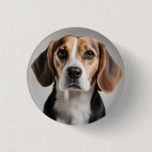 Niedlicher Beagle