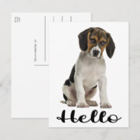 Niedlicher Beagle Hallo Funny Puppy Dog Denken Sie