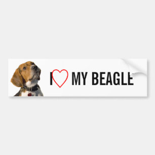 Niedlicher Beagle-Hund Autoaufkleber