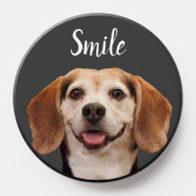 Niedlicher Beagle Hund lächeln