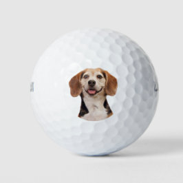 Niedlicher Beagle Hund mit Lächeln Golfball