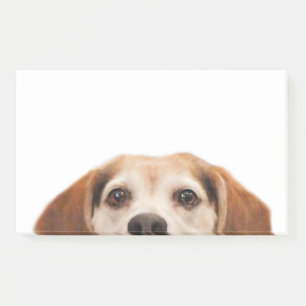 Niedlicher Beagle Hund Moderner Trend Post-it Klebezettel