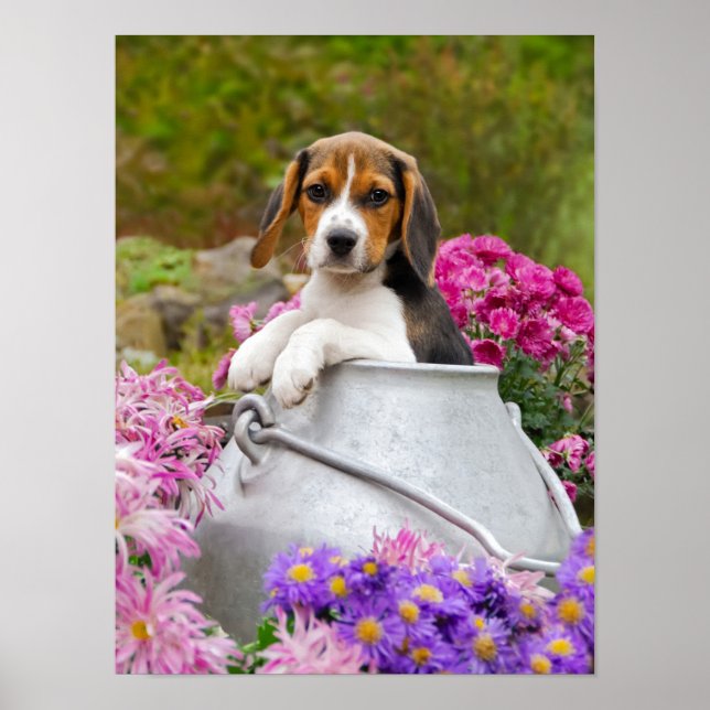 Niedlicher Beagle Hund Welpe in einem Milchturm, e Poster (Vorne)