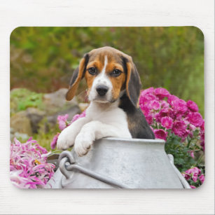 Niedlicher Beagle Hund Welpe in einer Milchkühne - Mousepad