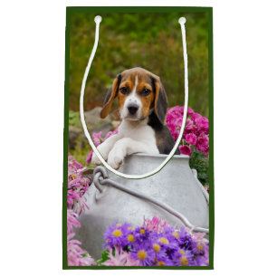 Niedlicher Beagle Hund Welpe in Milch Churn mit Bl Kleine Geschenktüte