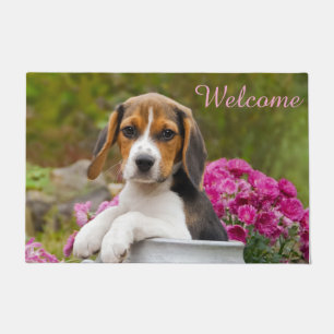 Niedlicher Beagle-Hundewelpe im Fußmatte