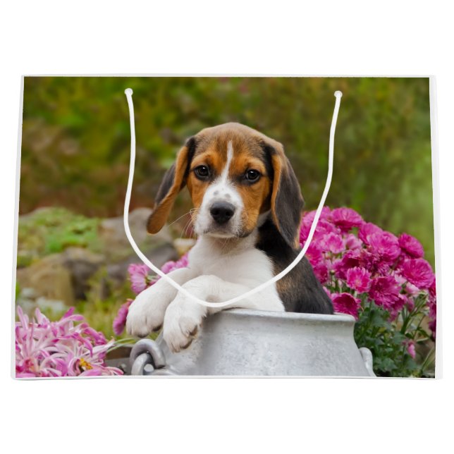 Niedlicher Beagle-Hundewelpe in einer Milchkanne - Große Geschenktüte (Vorderseite)