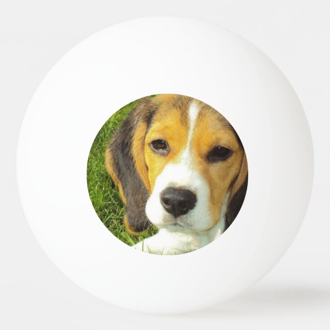 Niedlicher Beagle Tischtennisball (Vorderseite)