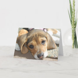 Niedlicher Beagle Welpe Geburtstagskarte Karte