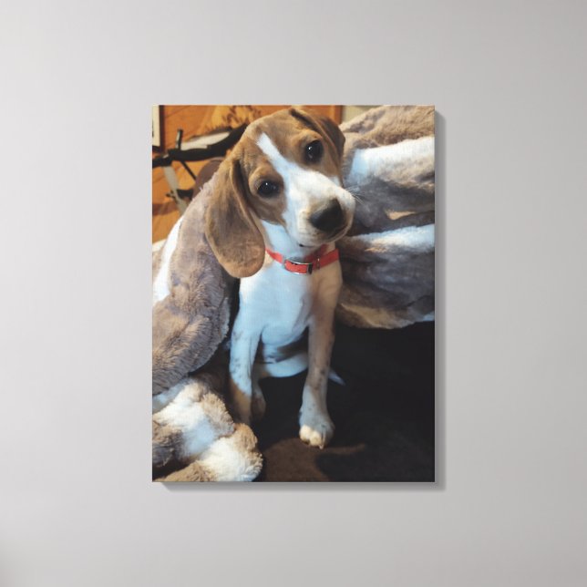 Niedlicher Beagle Welpe mit Vollblut Leinwand druc (Vorderseite)