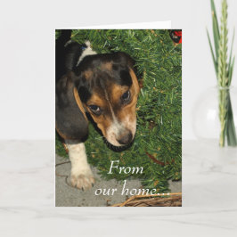 Niedlicher Beagle Welpe Snoopy - Weihnachten