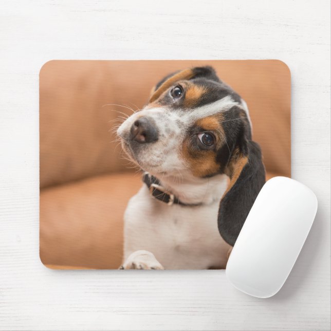 Niedlicher Beagle Welppy Quizical Look Mousepad (Mit Mouse)