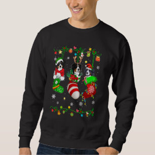 Niedlicher Berner Hund in Weihnachtssocken Haustie Sweatshirt