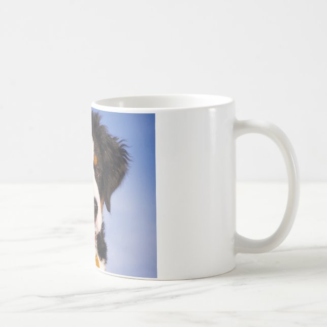 Niedlicher Berner Hund Kaffeetasse (Rechts)