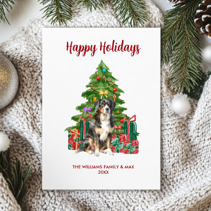 Niedlicher Berner Hund Weihnachten