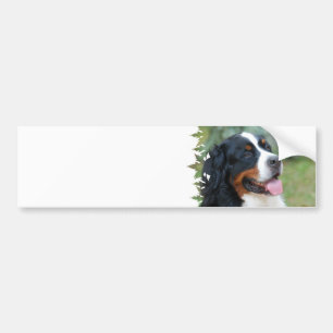 Niedlicher Bernese Autoaufkleber