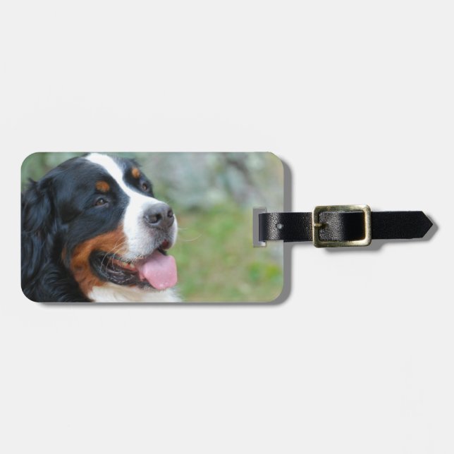 Niedlicher Bernese Gepäck-Umbau Gepäckanhänger (Vorderseite horizontal)