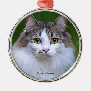 Niedlicher Besuch der Calico Katze im Garten Ornament Aus Metall