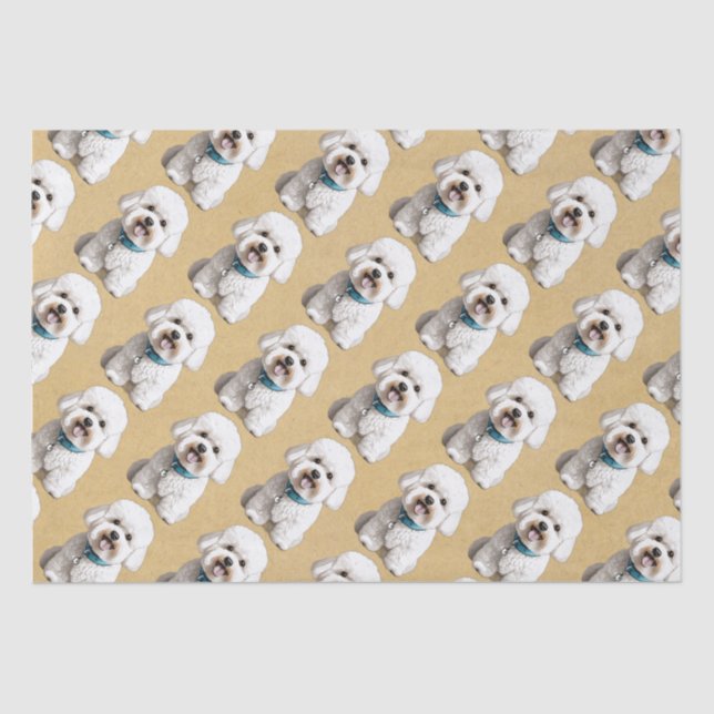 Niedlicher Bichon-Schlag auf dem Hintergrund des P Seidenpapier (Vorderseite)