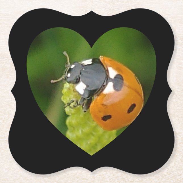 Niedlicher Big Ladybug in einem Untersetzer auf de (Vorderseite)