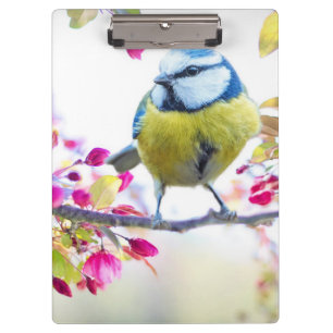 Niedlicher Bird Klemmbrett