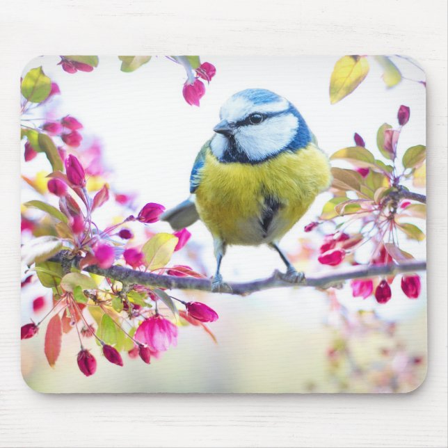 Niedlicher Bird Mousepad (Vorne)