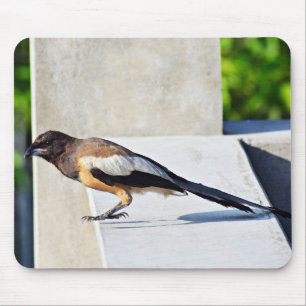 Niedlicher Bird Mousepad