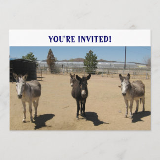 Niedlicher Birthday Burros Western Einladung